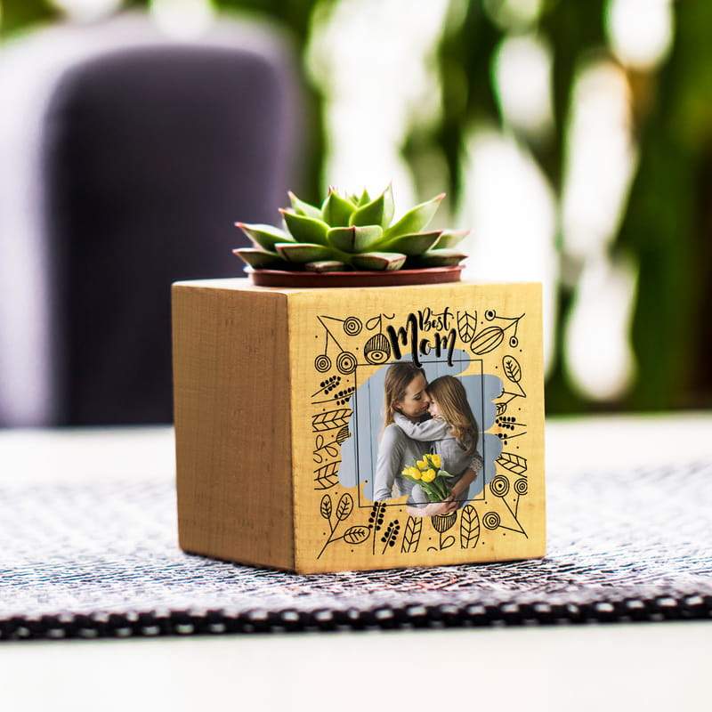Personalized Best Mom Succulent Plant Custom Fairy 
